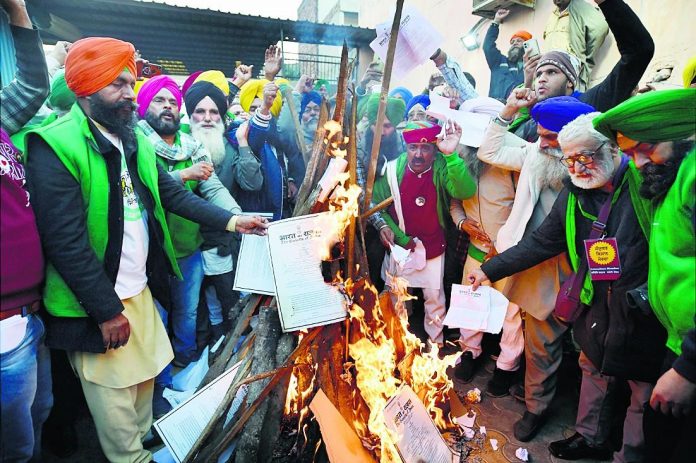 Farmer Protest Burn copy of Farm Bills