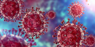 ਕੋਵਿਡ -19: ਭਾਰਤ ‘ਚ ਰਿਕਾਰਡ 3 ਲੱਖ 79 ਹਜ਼ਾਰ ਤੋਂ ਵੱਧ ਨਵੇਂ ਕੇਸ, ਪਹਿਲੀ ਵਾਰ ਦੇਸ਼ ‘ਚ ਕੋਰੋਨਾ ਨਾਲ 3645 ਸਭ ਤੋਂ ਵੱਧ ਮੌਤਾਂ