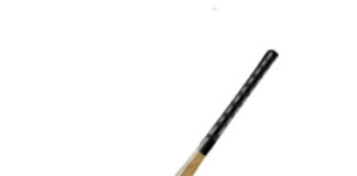 ਸਾਬਕਾ ਮੁੱਖ ਮੰਤਰੀ ਕੈਪਟਨ ਦੀ ਪੰਜਾਬ ਲੋਕ ਕਾਂਗਰਸ ਪਾਰਟੀ ਨੂੰ ‘ਹਾਕੀ ਤੇ ਬਾਲ’ ਦਾ ਚੋਣ ਨਿਸ਼ਾਨ ਮਿਲਿਆ