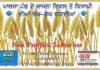 ‘ਕੂਕ ਪੰਜਾਬੀ ਸਮਾਚਾਰ’ ਵੱਲੋਂ ਸਮੂਹ ਪਾਠਕਾਂ ਤੇ ਸਮੁੱਚੇ ਸੰਸਾਰ ਦੇ ਭਾਈਚਾਰੇ ਨੂੰ ਖਾਲਸਾ ਸਾਜਨਾ ਦਿਵਸ ਅਤੇ ਵਿਸਾਖੀ ਦੀਆਂ ਲੱਖ-ਲੱਖ ਵਧਾਈਆਂ
